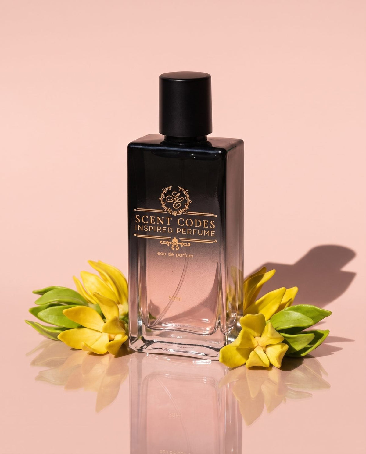 Soleil Blanc